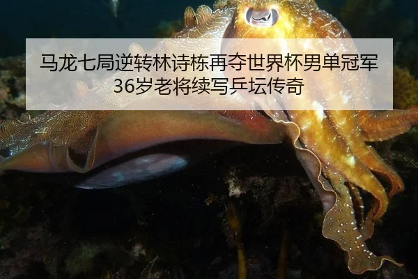 ma-long-qi-ju-ni-zhuan-lin-shi-dong-zai-duo-shi-jie-bei-nan-dan-guan-jun-sui-lao-jiang-xu-xie-ping-tan-chuan-qi-2-110.jpg